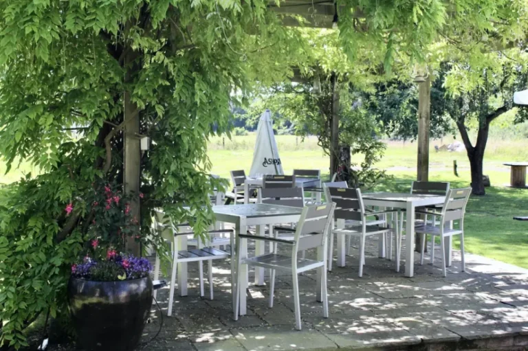 5390bfe4 94b0 4a65 b4d9 77cc6c7871ce 768x511