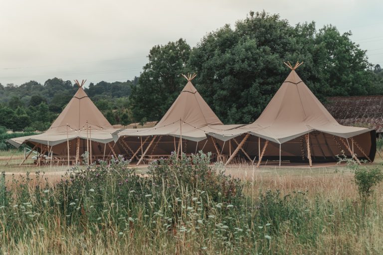 543e3394 84ec 4a95 a19a 70614a905ee3 768x512