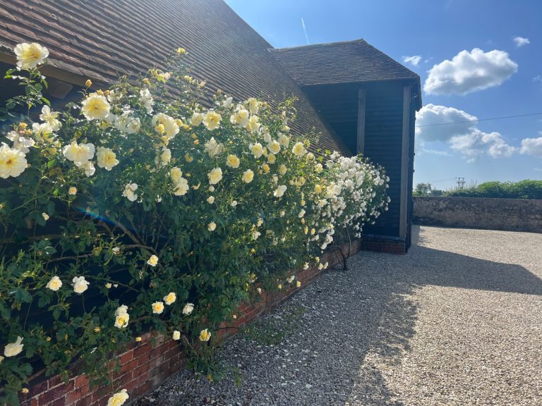 543fd185 9507 40c7 bc6f 6945c61ca0e8 768x576