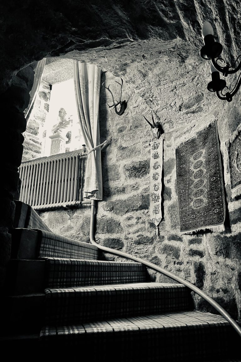 544722A9 ACD2 4DBE ACBF 5F5CFF02BBE4 768x1155