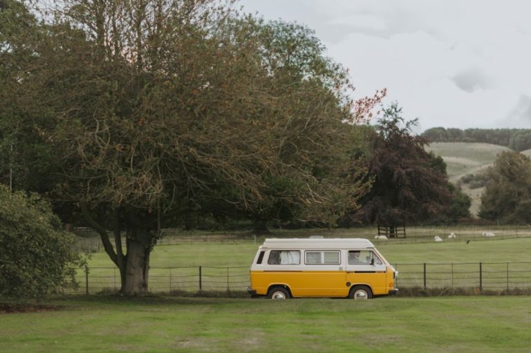 54923114 52a1 4dc0 a5ce ec6cde6828b5 768x511