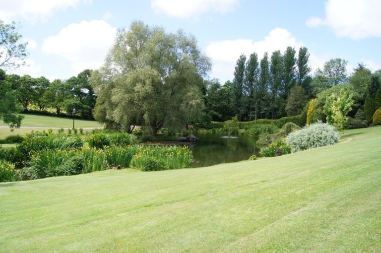 550516 323509991043332 1837208330 n nxvdkt 768x510