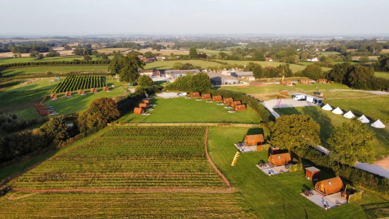 55950251 03b5 4083 a325 d4ee88af3c74 768x432