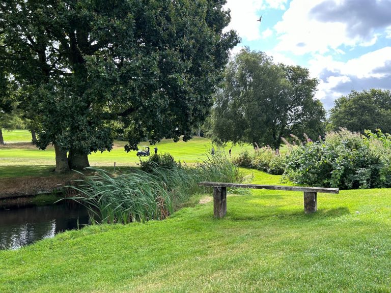 55e169ff 8829 4597 a571 182027d76124 768x576