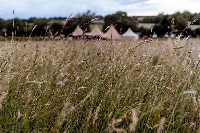 574d246e 79aa 4b76 909f 23cf7d9a7839 768x512