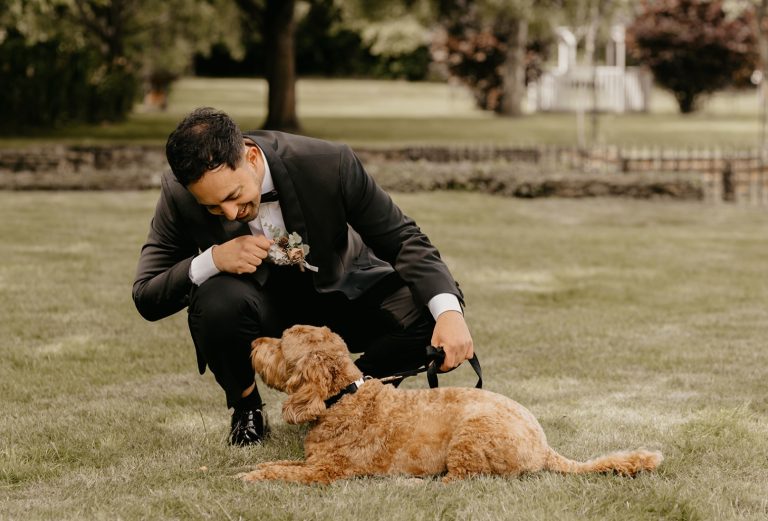 579e5839 92a1 4bff ad78 0b1f299d52da 768x521