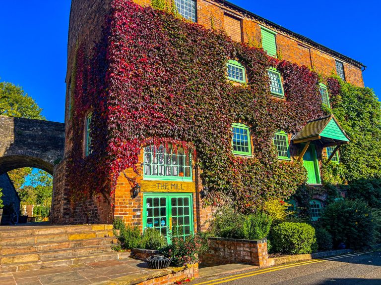 58E773CC EF21 4A97 93CD CF2D73E92DF6 scaled 768x576