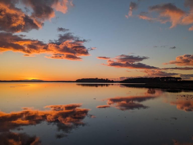 59108c2b edaf 43ec 9443 1ac6549b3da0 768x578