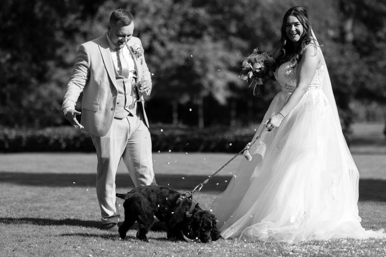 5ab6ebb3 7316 47eb 91fb f97a26ac0a6a 768x512