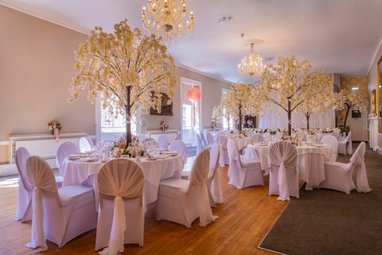 5af8bc5d c734 4f1b a26a e06cfbc79fe3 768x512