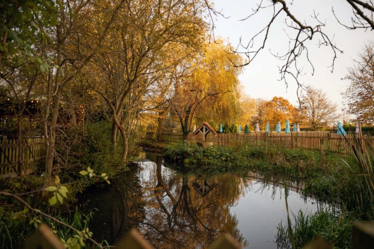 5b3eb8cf 9bfb 44dd af55 43157b6232c3 768x511