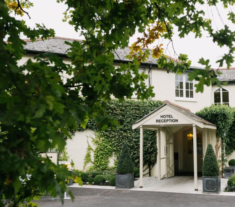 5bd691ca 2013 467b 98d1 5e580b765d5e 1 768x678