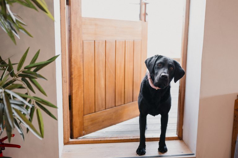 5c33da64 f927 4340 95ae 3344bceb560a 768x512