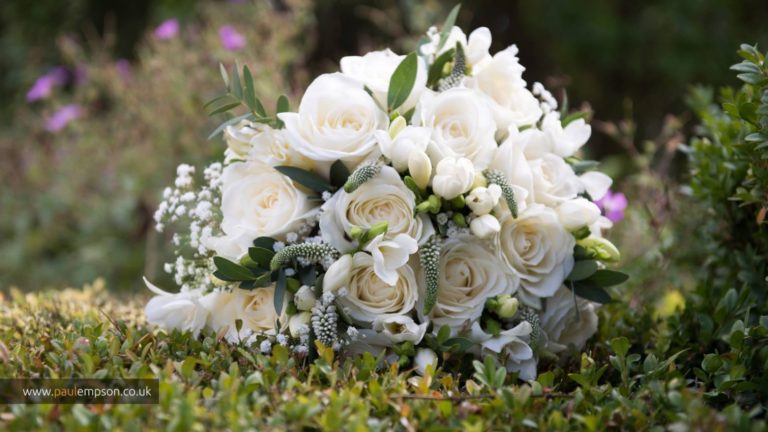 5e28e577 2e2d 4001 80b4 4a640429a15f 768x432