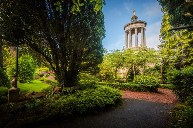 5fc9d944 4861 4e0a a9a0 131c178556c2 768x512