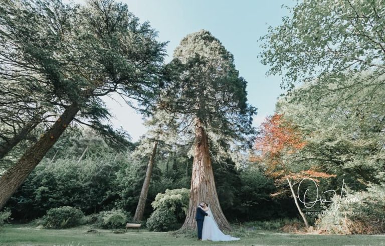 60346346 2239916732741688 8202714041538314240 n 768x491