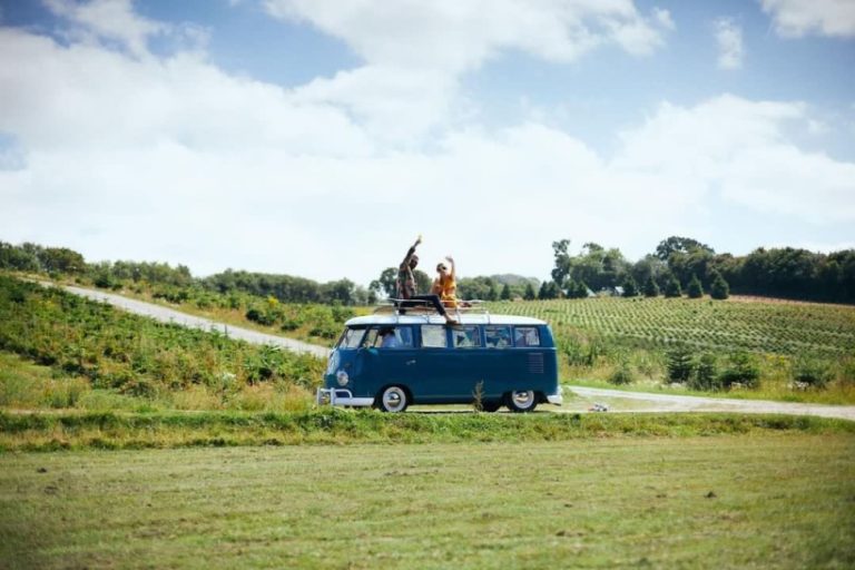 61dd0c25 8e36 4cf7 b0e6 32dbae487ba2 768x512