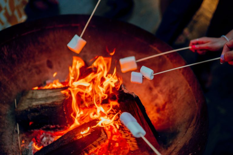 635f6f49 1351 43f6 b5f9 afa319b3b9b0 768x512