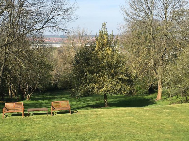 6477bc9c 4e84 4be9 a00e 5b7aec1fd197 17883739 1343281699098725 1708060303724498461 n 768x576