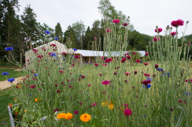 64ca9c3d 97c4 4489 8ef8 a18be587ae57 768x511