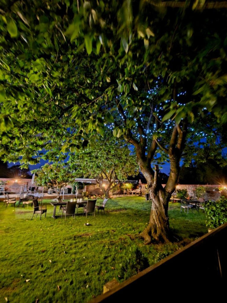 65d63002 38f0 496f 8d1a f4e9f97a09ec 768x1024