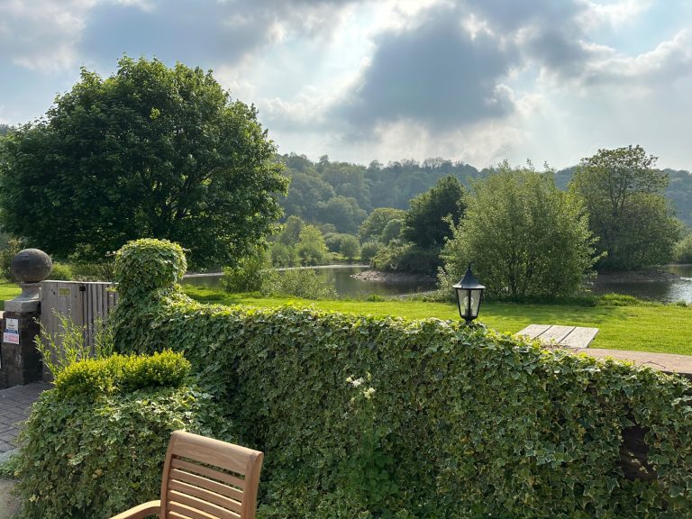 65d7c6a7 f89e 43d9 baeb 9ba23ab7021e 768x576