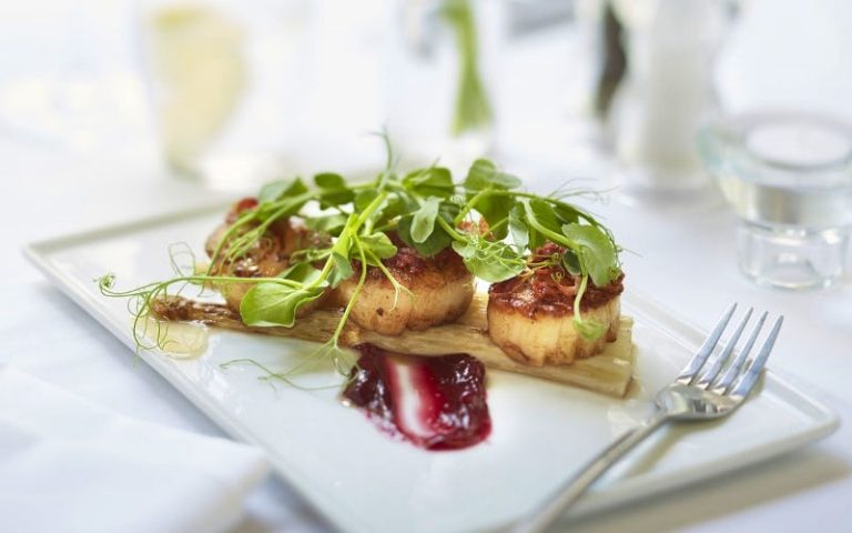 65e4c63b 47b2 46b3 b72d 259833e329b8 768x480