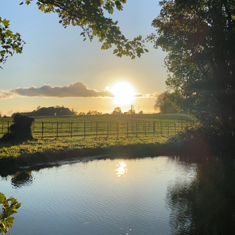 66A8DFB2 085C 4AFA 98C5 BEE0939E895E 768x768