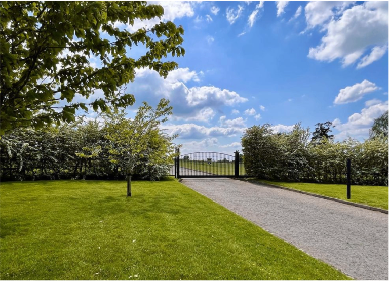 66ba4466 35b5 4776 87f5 9911254772f8 768x555