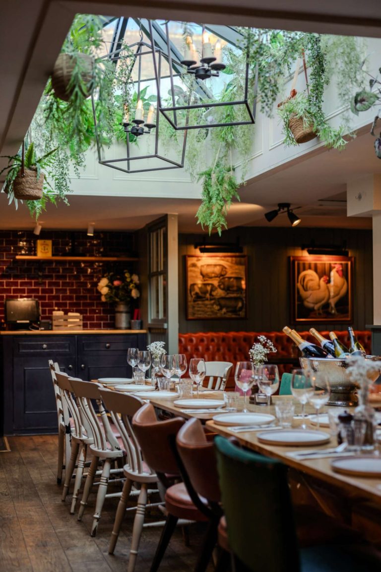 68664226 276b 47b0 ba73 df6127840c8e 768x1154