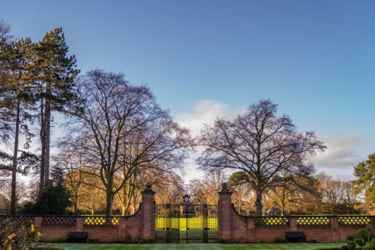 6885e878 f920 4ba9 aef0 ad65c5d73a9a 768x512