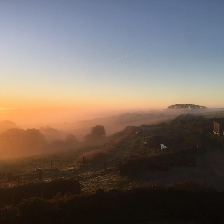 692A8073 10F2 45E4 A2B0 F38385851E9E 768x768