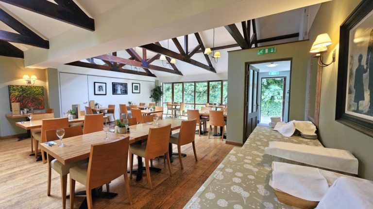 69e1107e ebce 45d9 9aee 76c7ef9a9aa9 768x432