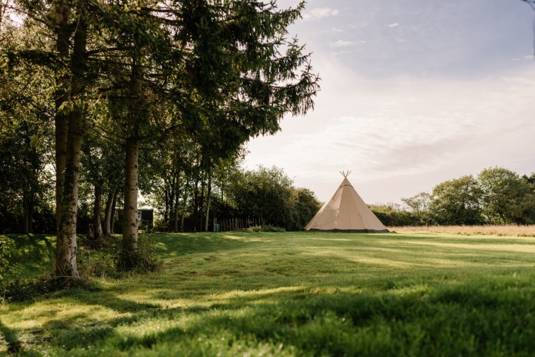 6cd164c7 4fa6 4739 a895 37a6556252d2 768x512