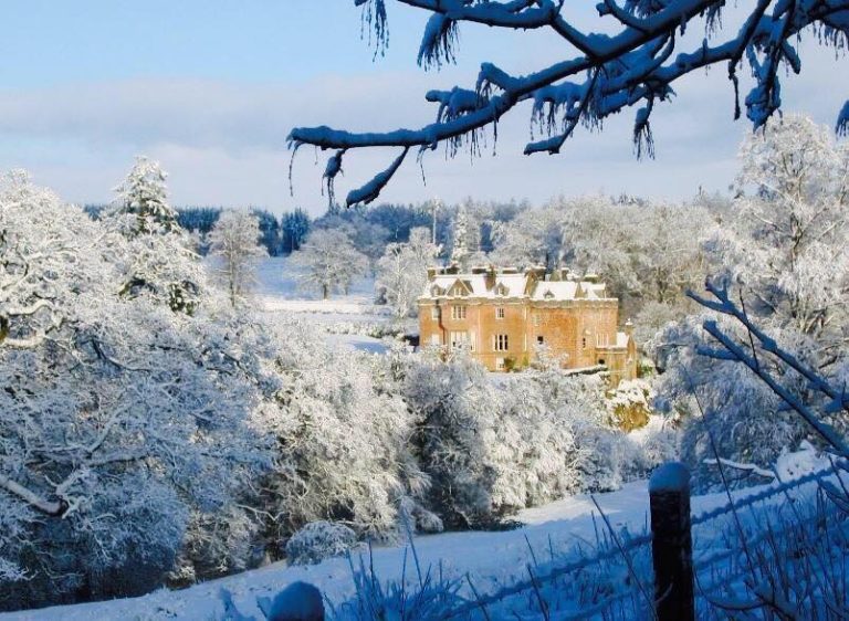 6cf2197d 134b 4ab0 82d9 b7c11935b02b 10151750 521294468046686 3061939566563291253 n 768x562