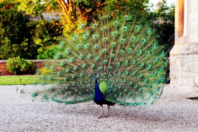 6df77a06 6986 4bb9 a7cb 35fe66911b36 768x512