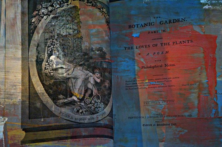 706ef7b9 50e5 4da0 9154 5c4f8437a557 226674 10151391838322493 1215705769 n 768x510