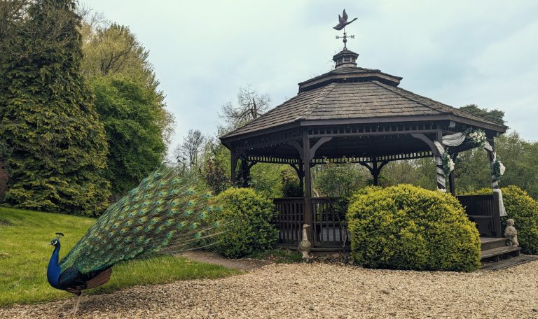 7289d7ae 2524 4e7b a477 5f8eb17f342e 768x456