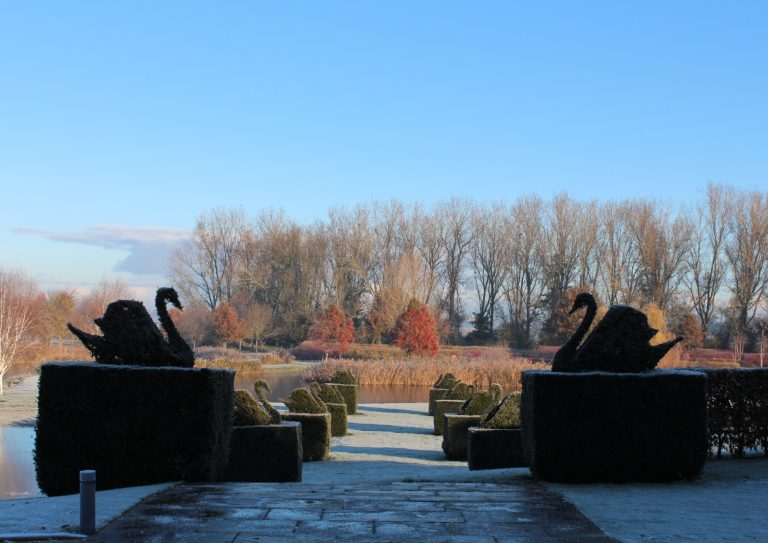 72b1ec2f 5b08 4632 8f56 983dedf75bf0 768x543