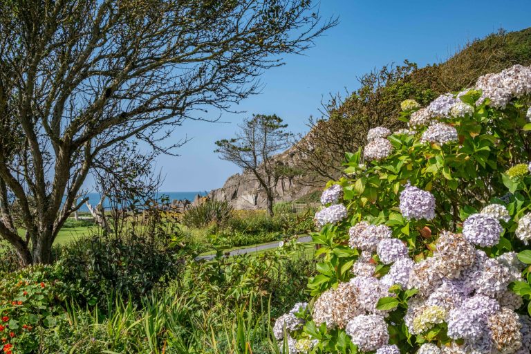 73faf236 a9ac 401a b7a3 dfda25704693 768x512