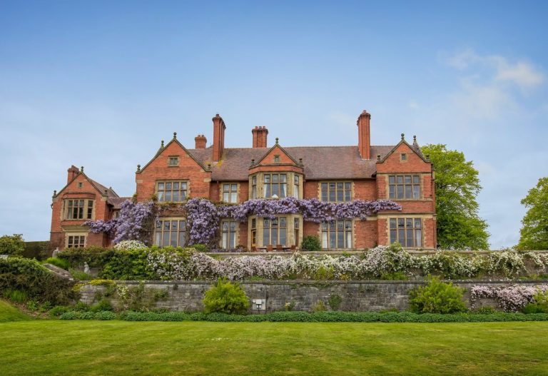 7407051e 4476 48cb bde9 108cd35d3766 1 768x527