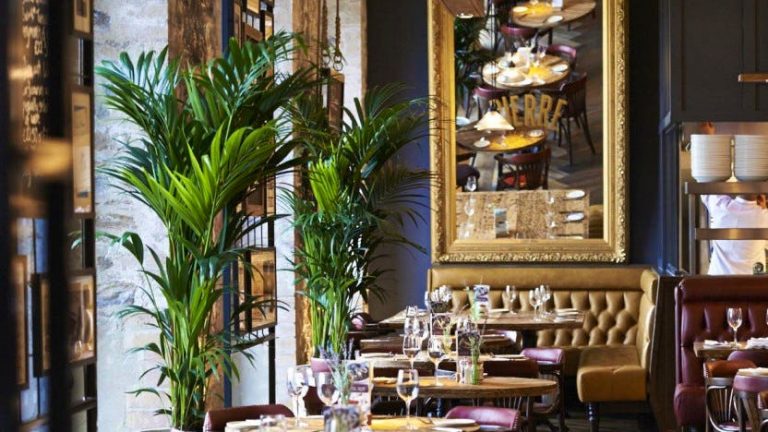 7753add7 544b 47d1 a5d6 6e0f59c6d7a9 768x432