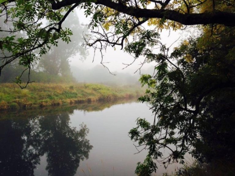 77af1792 1bab 4a34 987b 3978c33ff03d 768x576