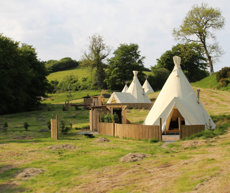 784e1e0e 70df 4e8e ae1a fe4f07c7b10c 768x644