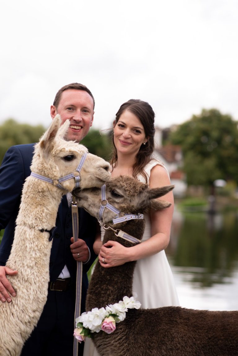 78ca0a8c bc89 4a7a abb2 ea36164a8da3 768x1150