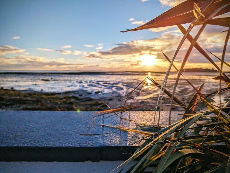 78dbb154 e55c 4747 af11 00a298a87348 768x578