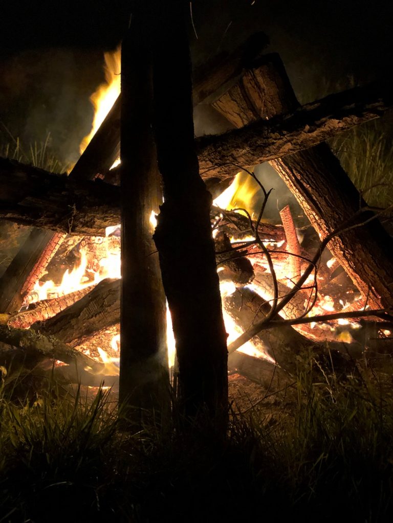 7a12e15a f504 4693 a19a 0f7e5861daf8 768x1023