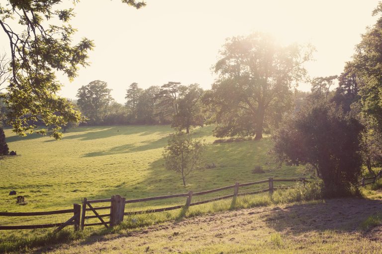 7a7b286b 55e6 404f a180 dbe2032a1c22 IMG 5636  ZF 7369 85139 1 004 1  768x512