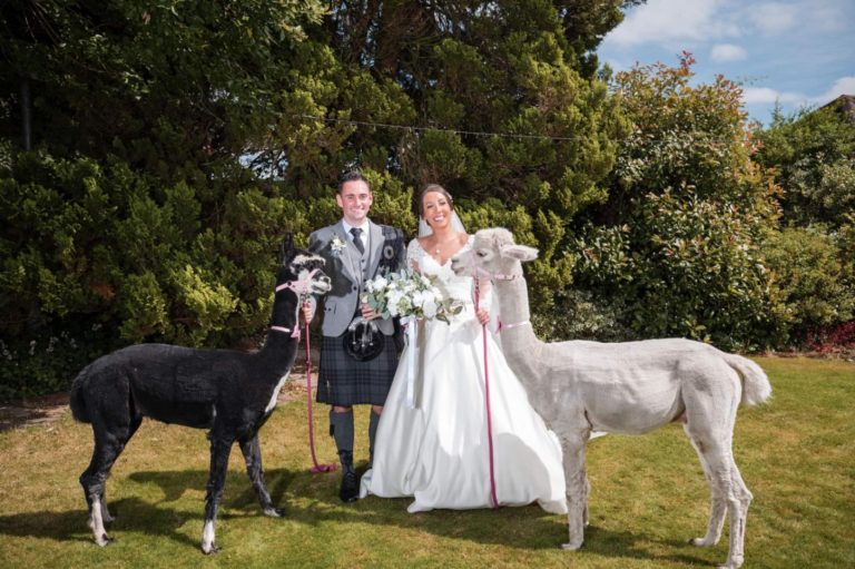 7a9283c8 5dcd 4bbd 9917 611f3e91876d 768x511