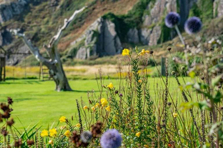 7b49ecaf a72a 46b9 af3e 5d4c10324c62 768x512